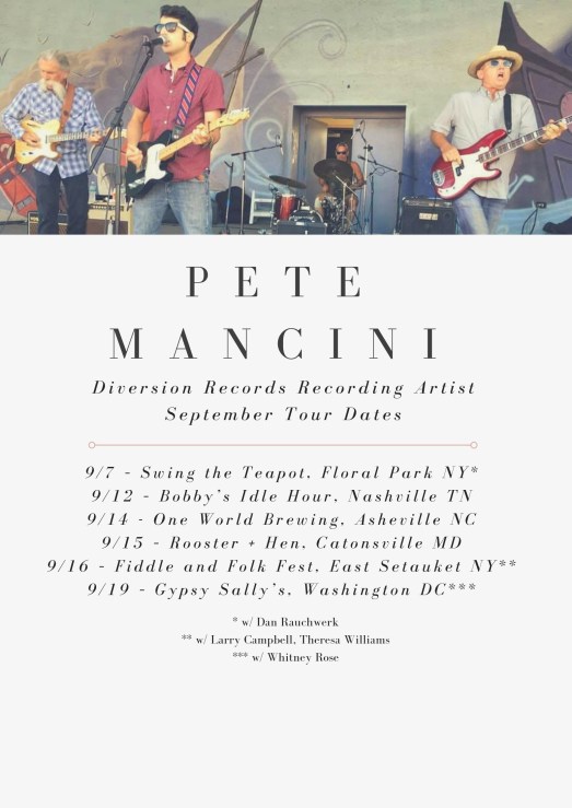 Pink Border Cello Tour Poster (1)